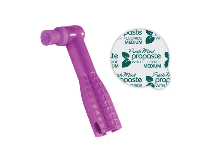 ProAngle Plus + Prophy Paste Combo Pack - Firm Purple cup, medium mint paste, box of 500