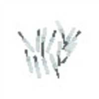 Disposable Brush Tips (Package of 100)