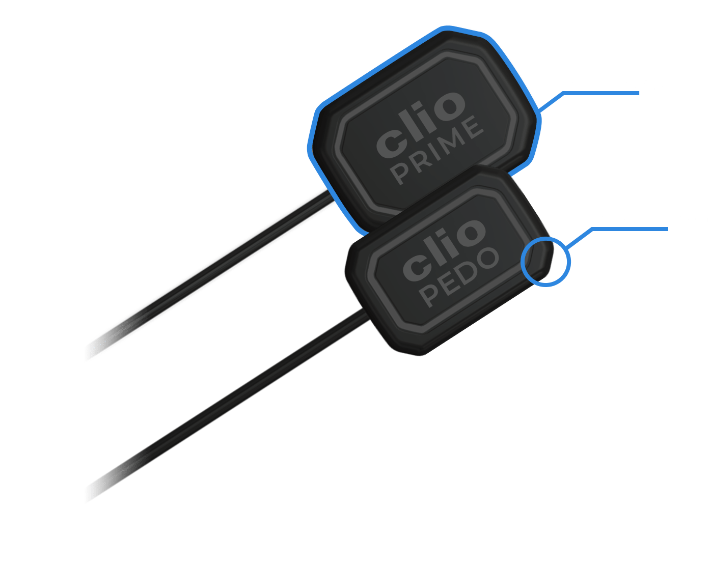 Clio Prime Digital X-Ray Sensors