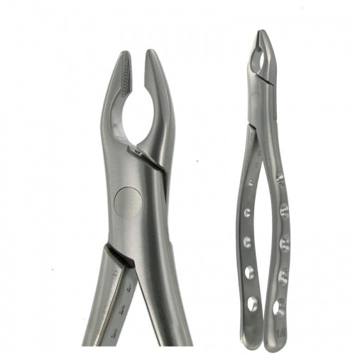 Extraction Forceps American