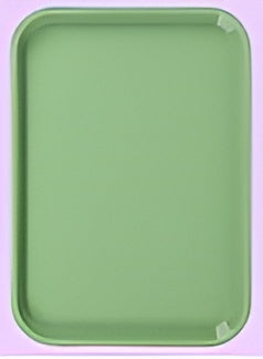 Lockable Flat Tray, Size B (Ritter) , Green, Each