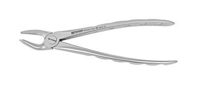 Extraction Forceps English Instruments