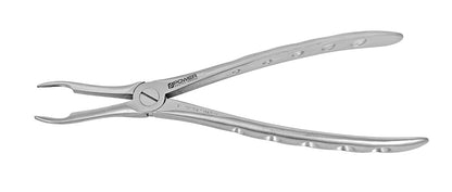 Extraction Forceps English Instruments