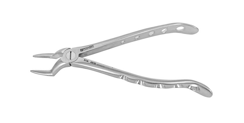 Extraction Forceps English Instruments