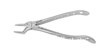 Extraction Forceps English Instruments