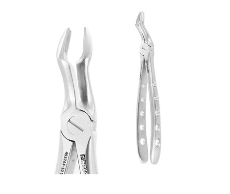 Extraction Forceps English Instruments