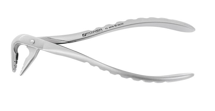Extraction Forceps  Instruments
