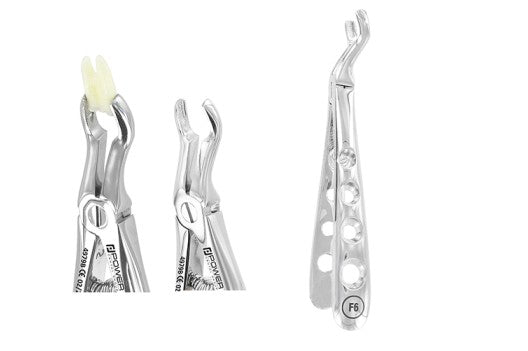 Extraction Forceps  Instruments