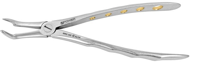 Extraction Forceps  Instruments