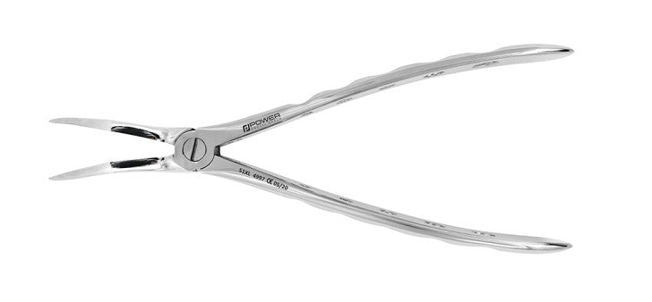 Extraction Forceps  Instruments