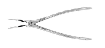 Extraction Forceps  Instruments