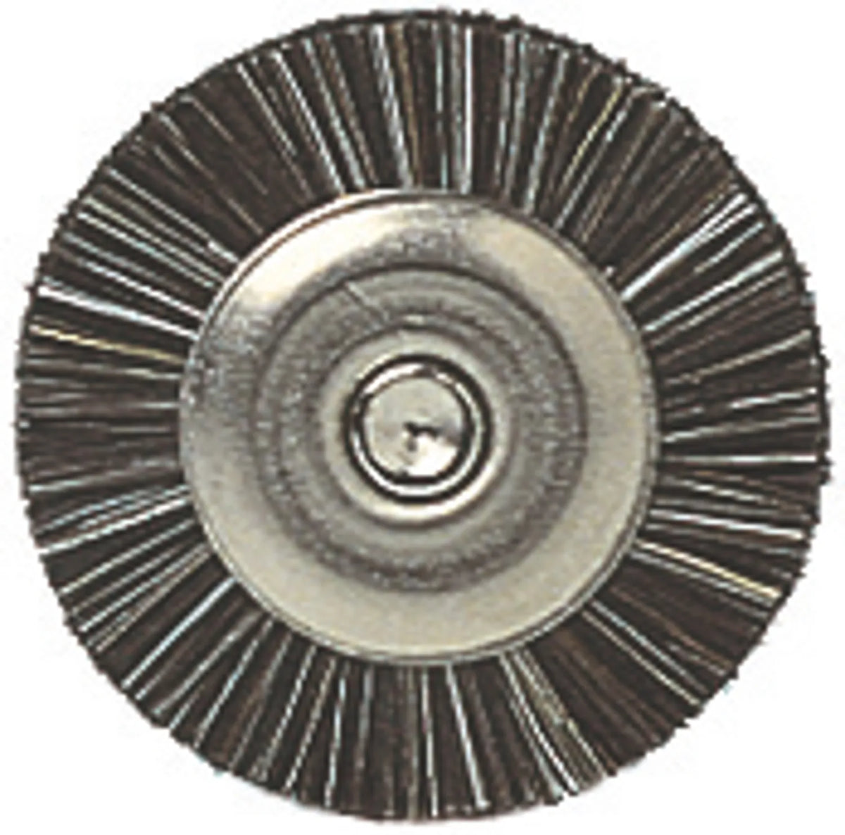 Renfert BISON Polishing Brushes - 14 mm / 100/Pack