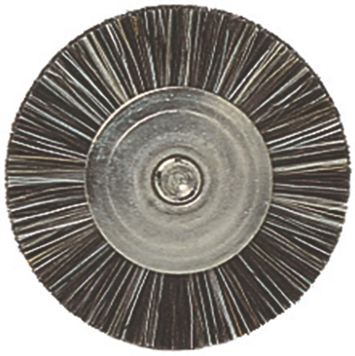 Renfert BISON Polishing Brushes - 18 mm / 100/Pack