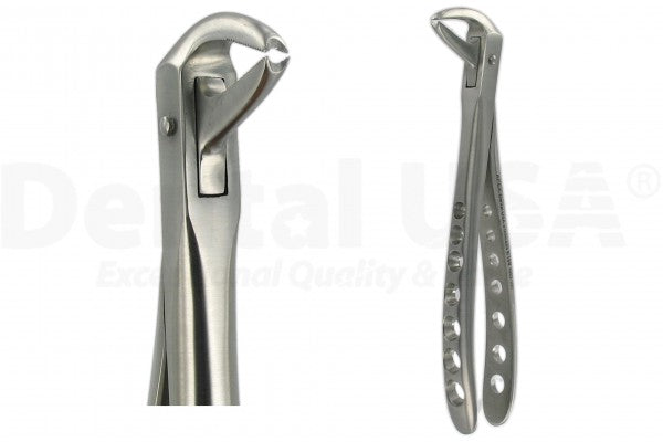 Extraction Forceps English 169 Lower Canine