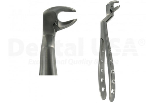 Extraction Forceps English 22 1/2L Lower Wisdom