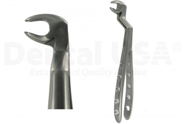 Extraction Forceps English 22 1/2R Lower Wisdom