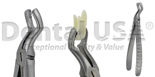 Atraumatic Universal Extraction Forcep Adult