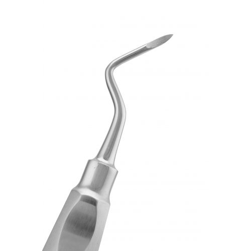 Dental USA Root Tip Picks