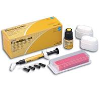 BeautiSealant Kit